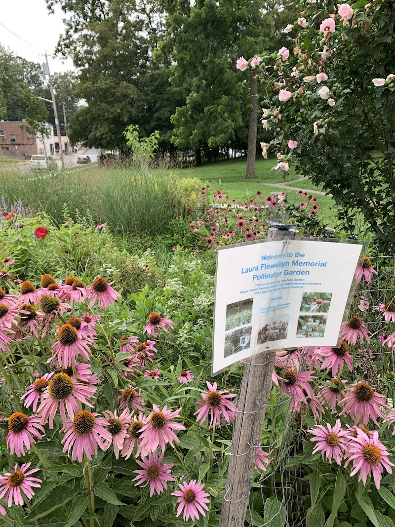 Flewellyn Park photo 2