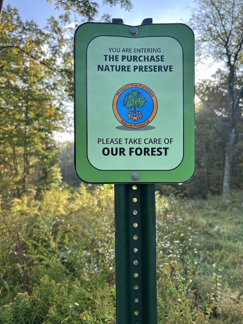 Blind Brook Forest Restoration Plot photo 2