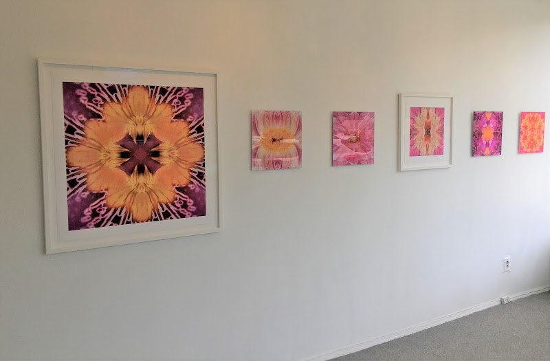 Elisa Contemporary Art Gallery photo 2