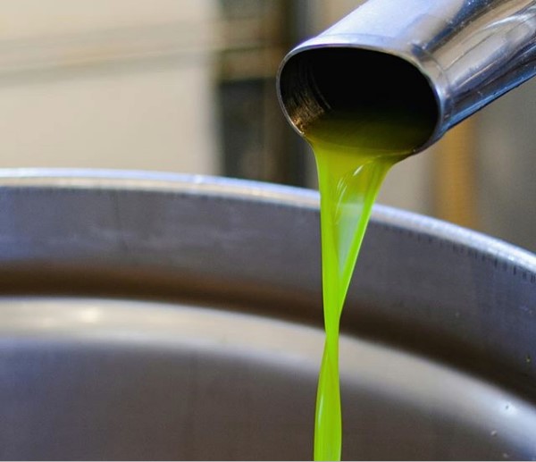 Olive from the Raw photo 5