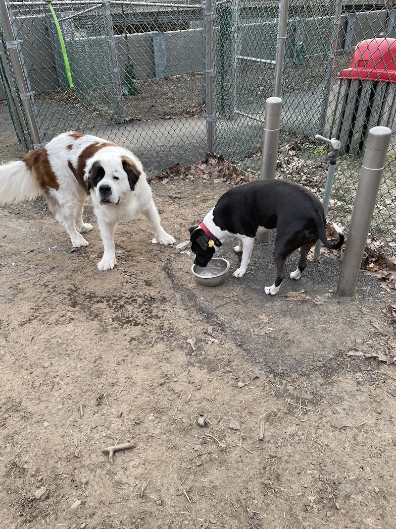 Elizabeth Place Dog Park photo 5