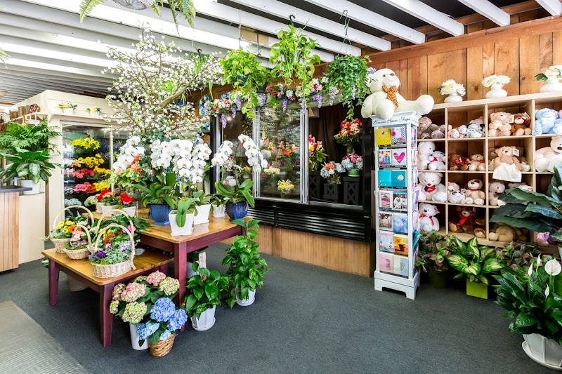 Blossom Flower Shops photo 4