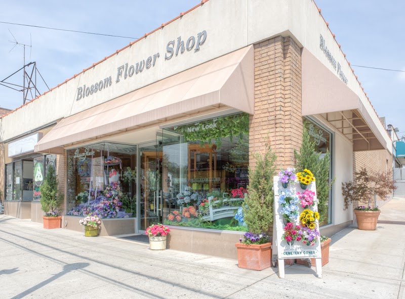 Blossom Flower Shops photo 4