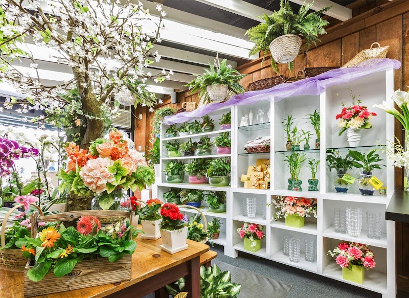 Blossom Flower Shops photo 5