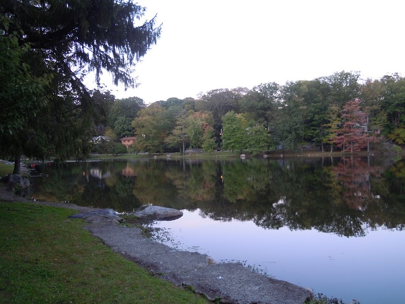 Flowers Park photo 4