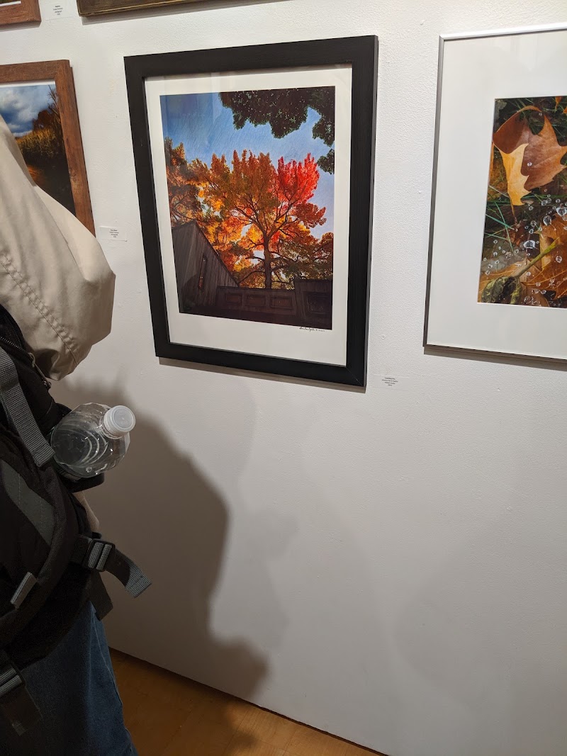 Blue Door Art Center photo 3