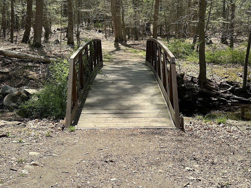 Blue Mountain Park photo 2