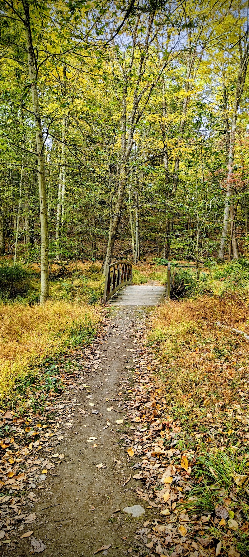 Blue Mountain Park photo 3