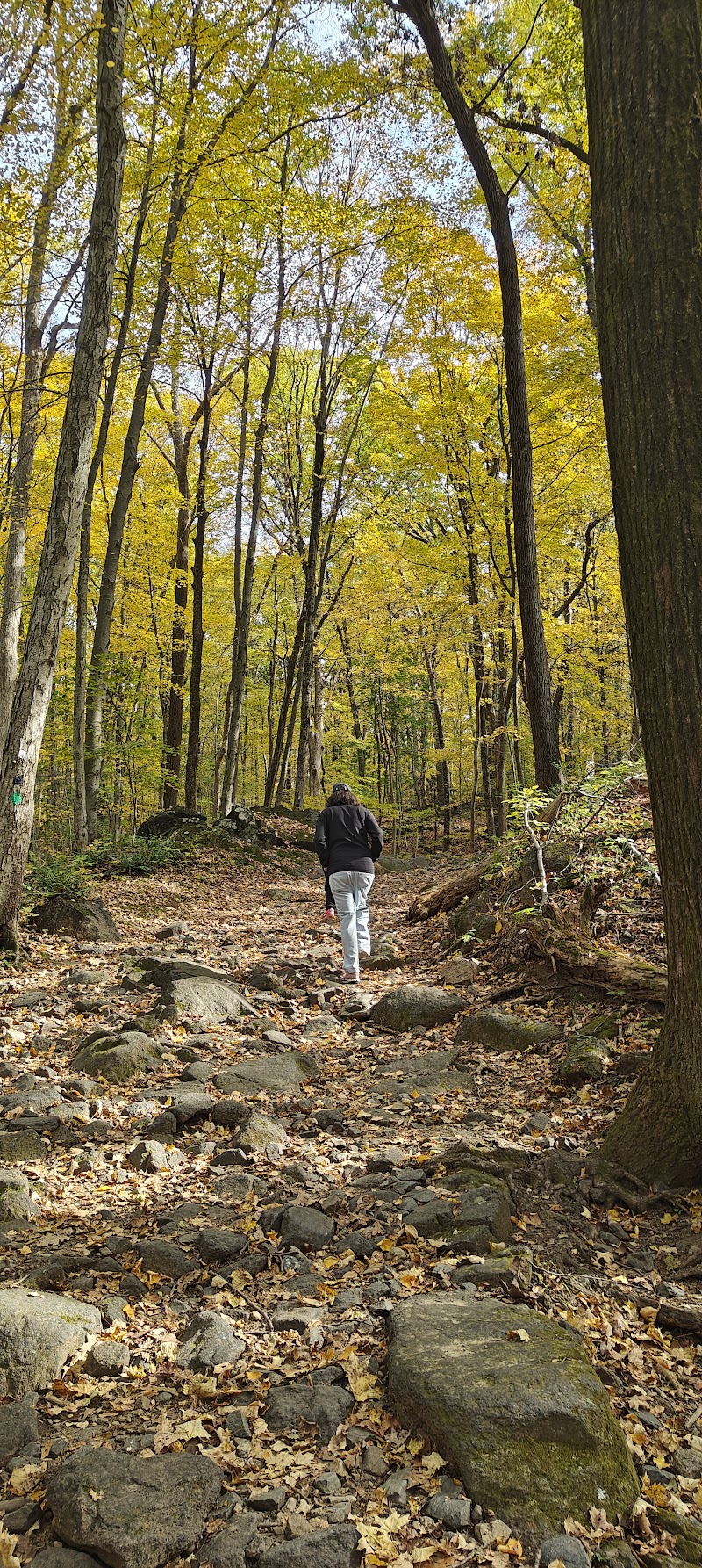 Blue Mountain Park photo 4