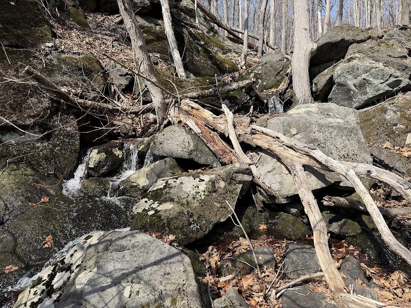 Blue Mountain Trail Head photo 2