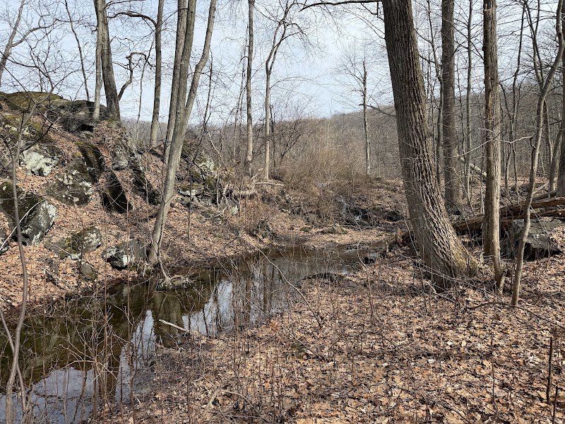 Blue Mountain Trail Head photo 3
