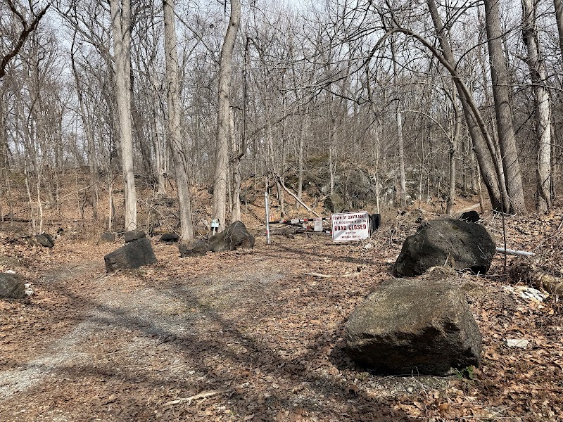 Blue Mountain Trail Head photo 4