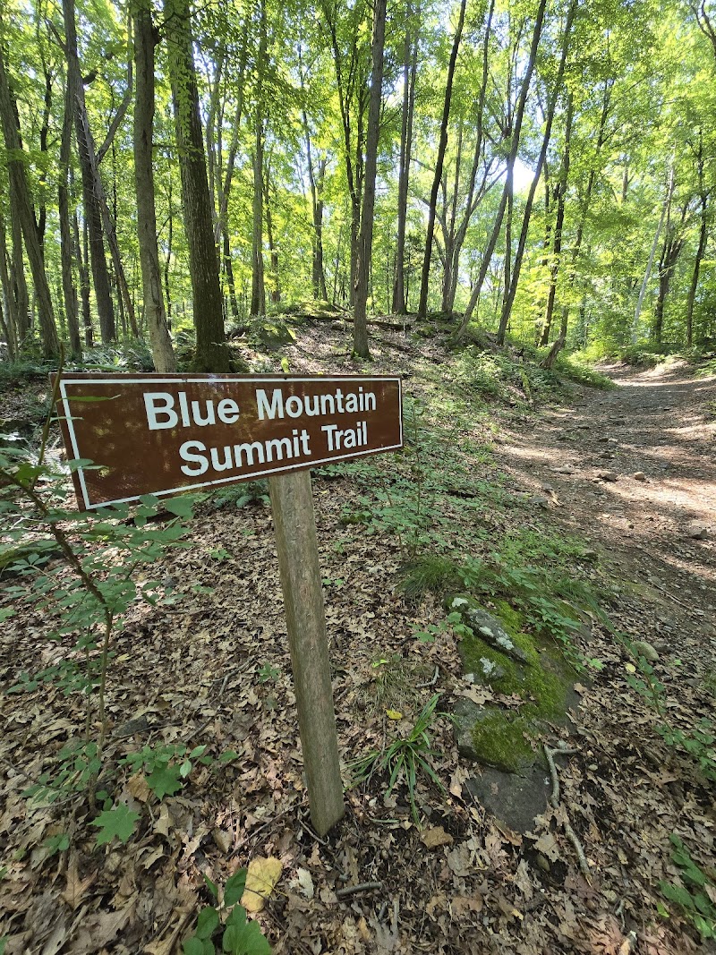 Blue Mountain Summit Trail Head photo 2
