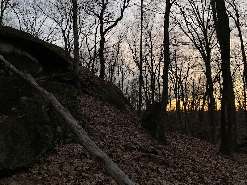 Blue Mountain Summit Trail Head photo 3