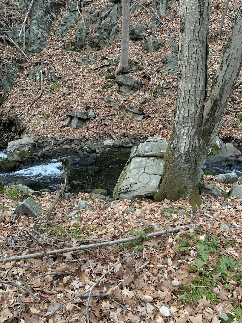 Blue Mountain Summit Trail Head photo 4