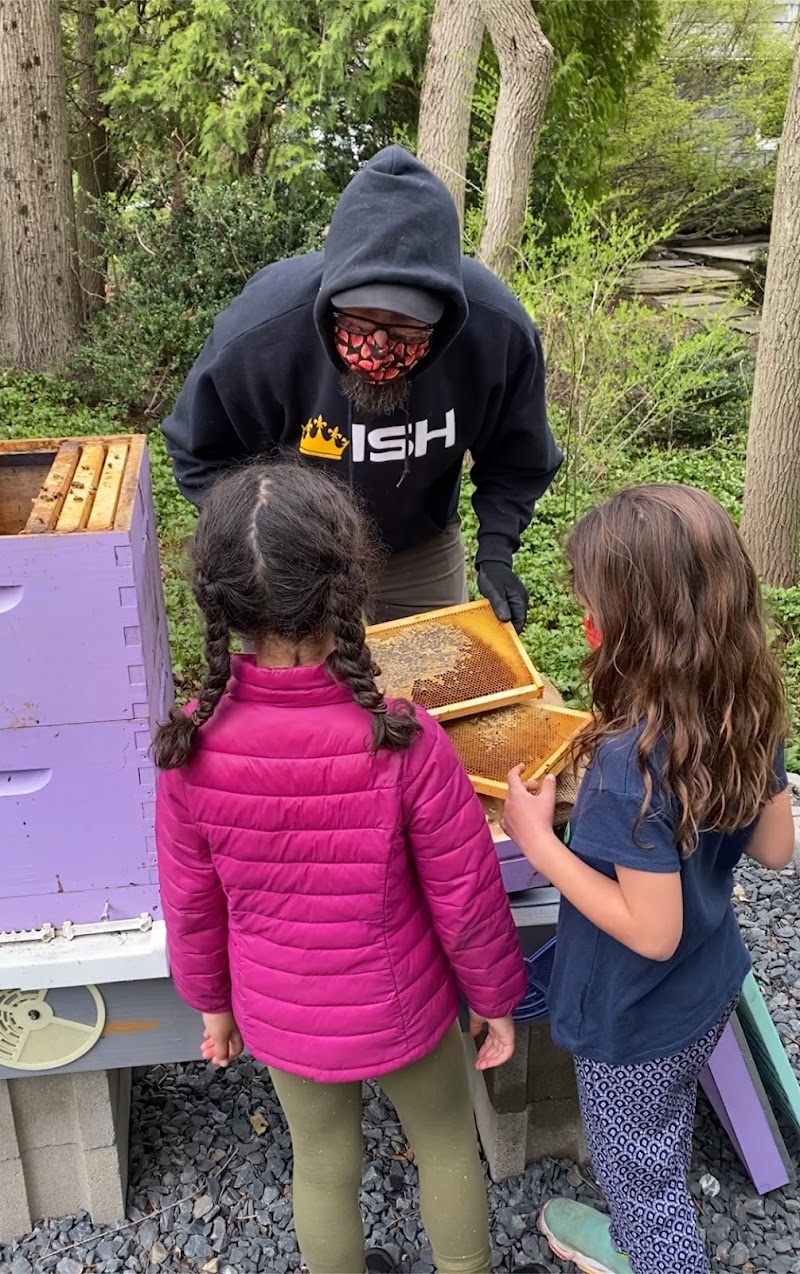 Fly Honey Farms photo 3