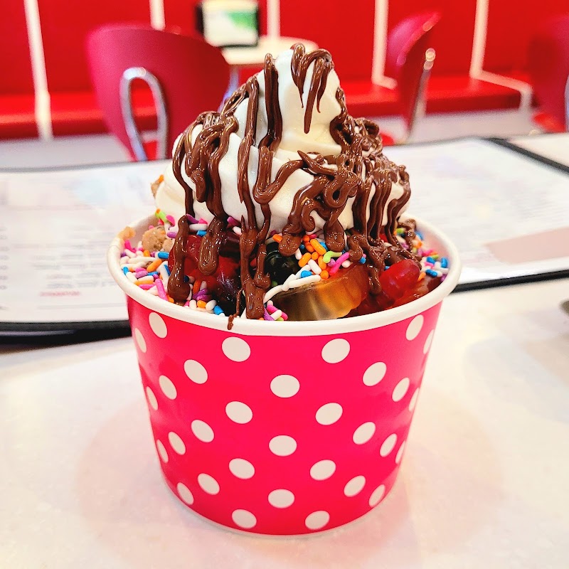 Amara Froyo photo 4