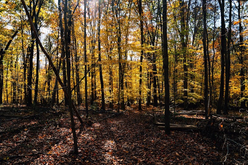 Angle Fly Preserve photo 3