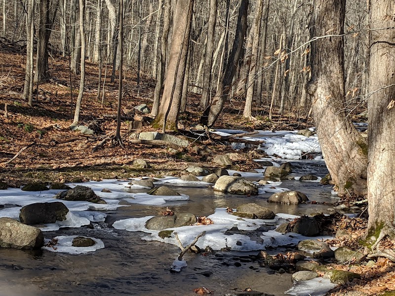 Angle Fly Preserve photo 4