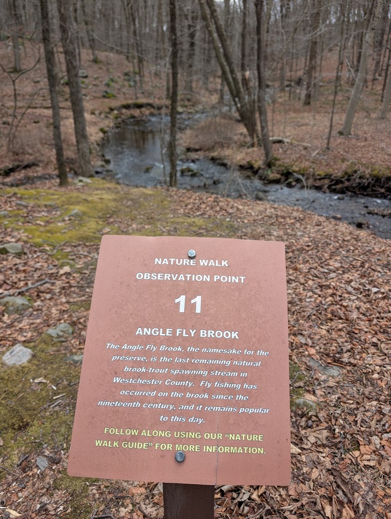 Angle Fly Preserve photo 5