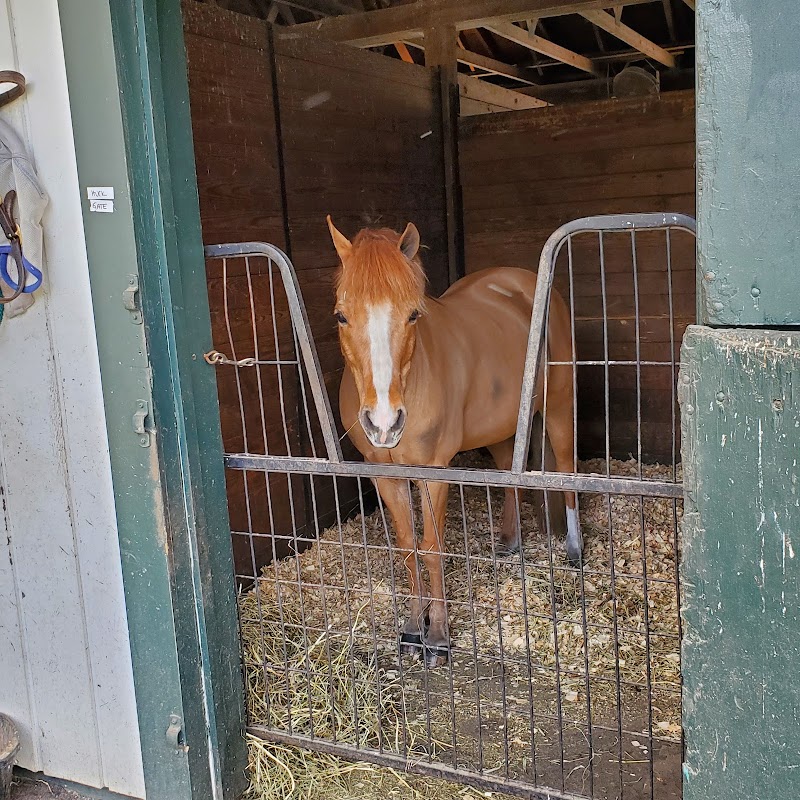 Enrite Farm photo 2