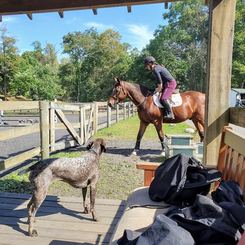 Enrite Farm photo 3
