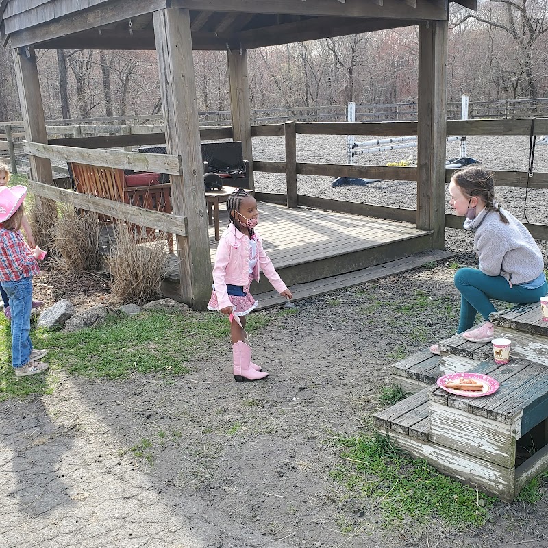 Enrite Farm photo 5