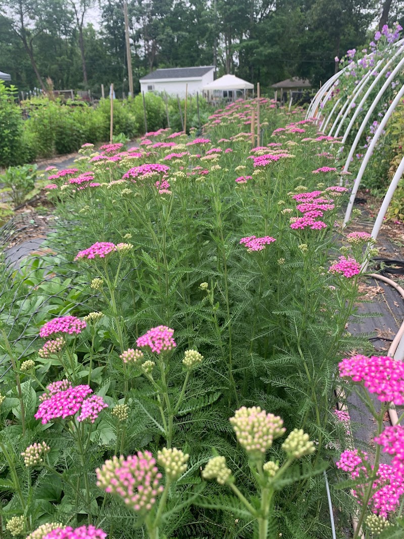 Anther Farm photo 2
