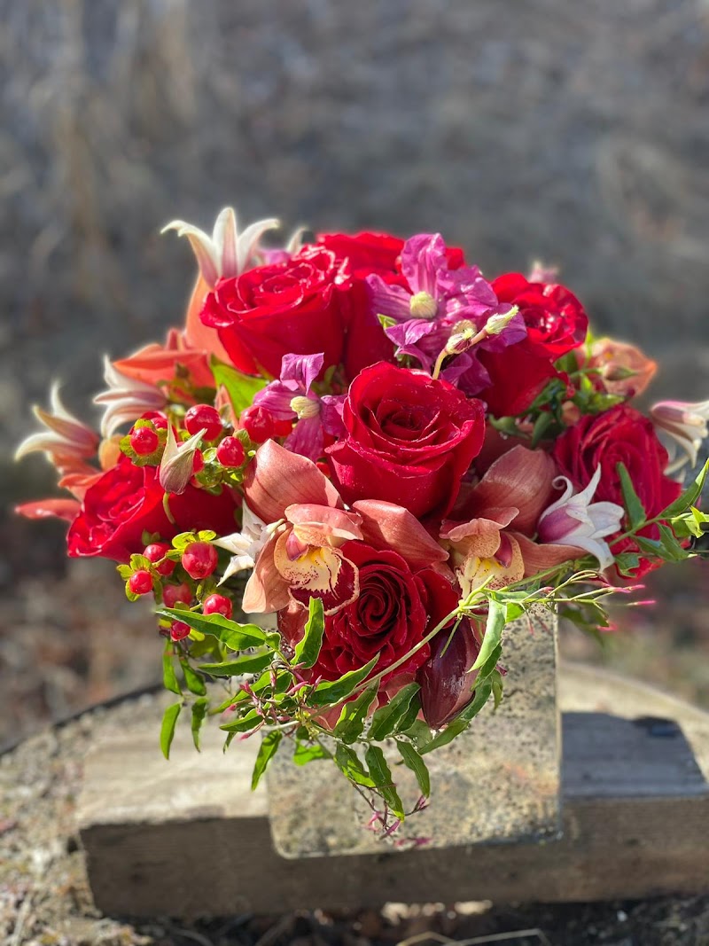 Inti-Raymi Flowers photo 4