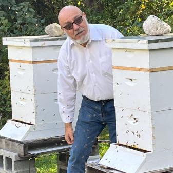 BobBee Apiaries LLC photo 4