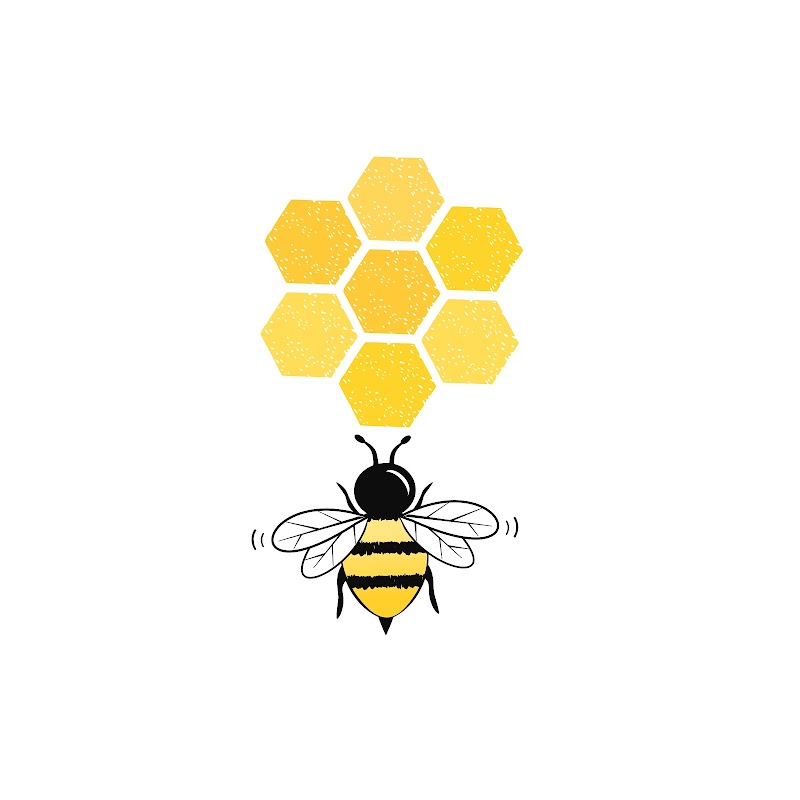 BobBee Apiaries LLC photo 5