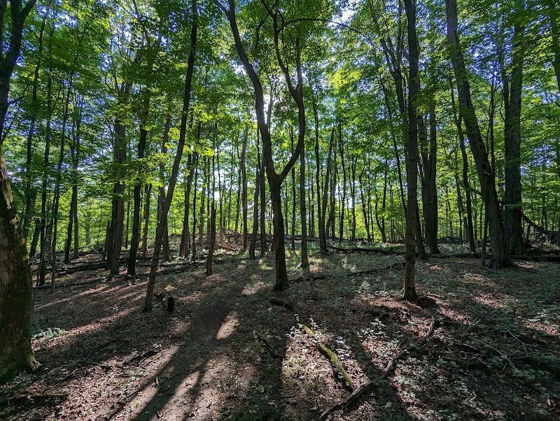 Pocantico Park photo 2