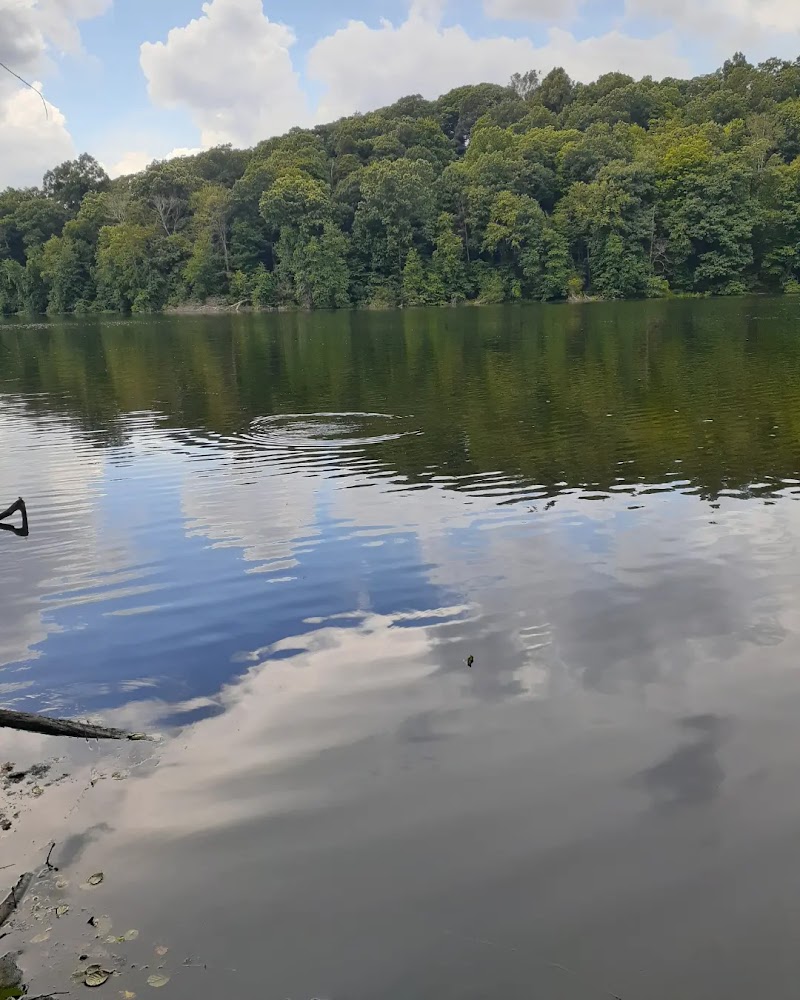 Pocantico Park photo 4