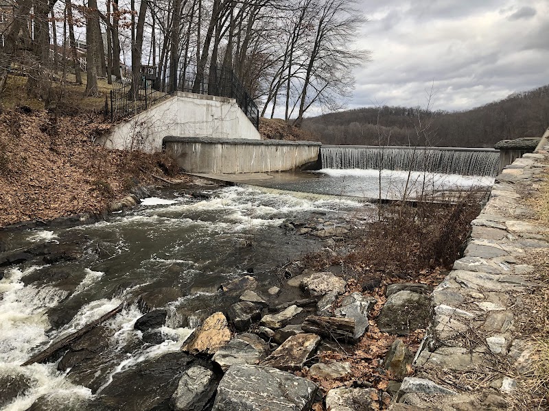 Pocantico Park photo 5