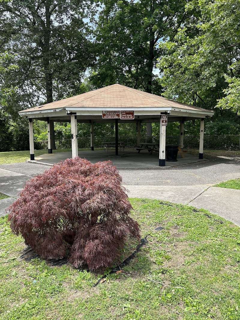 Pocantico Park photo 2