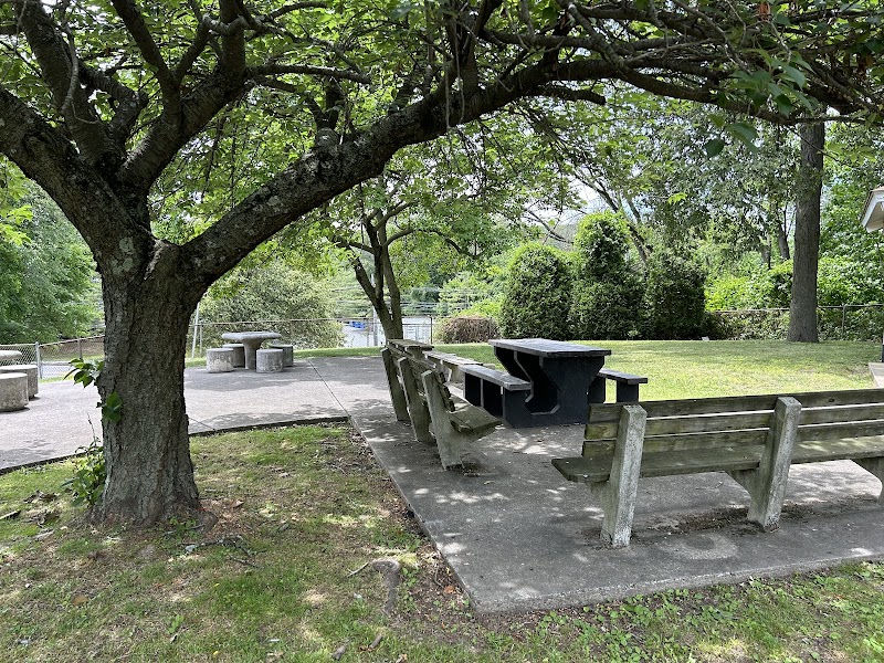 Pocantico Park photo 5