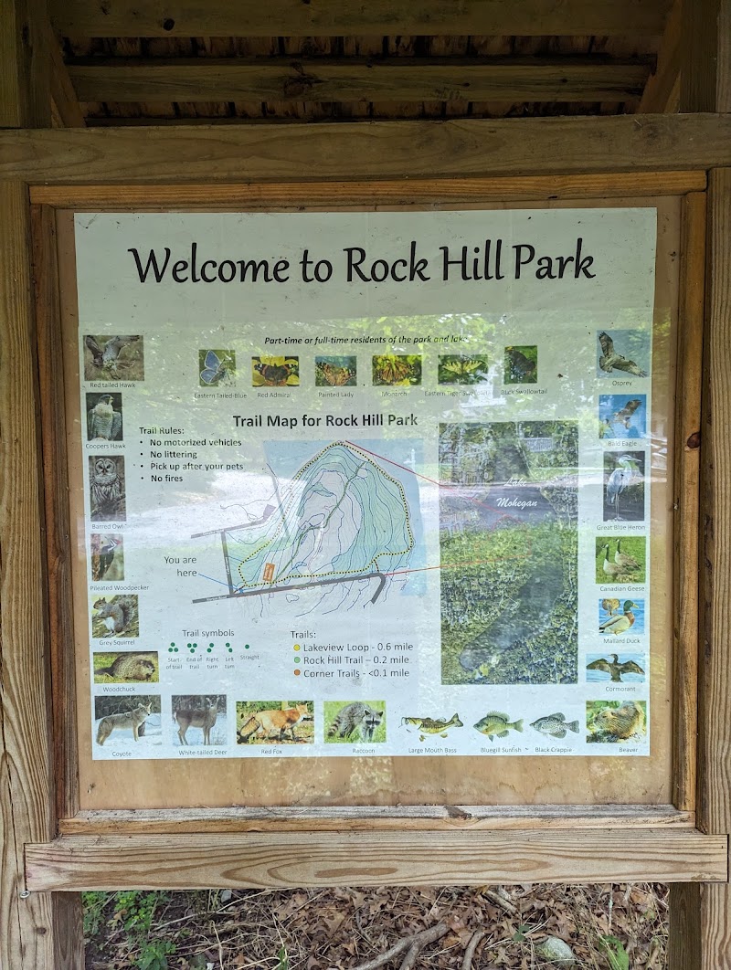 Rock Hill Park photo 2