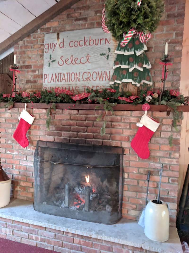 Cockburn Farm photo 3