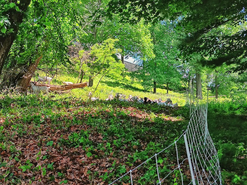 Rockefeller State Park Preserve - Rockwood Hall Entrance photo 5