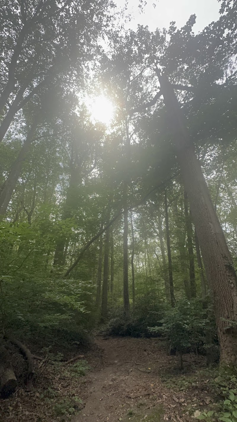Coffin Woods photo 4