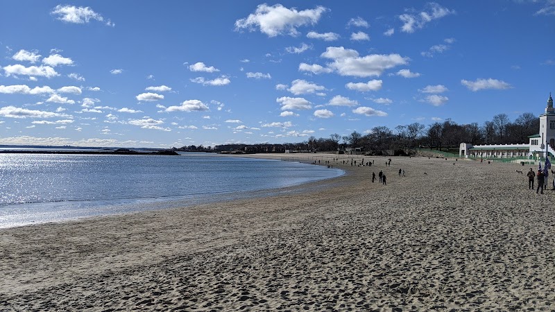 Dog beach parking photo 2
