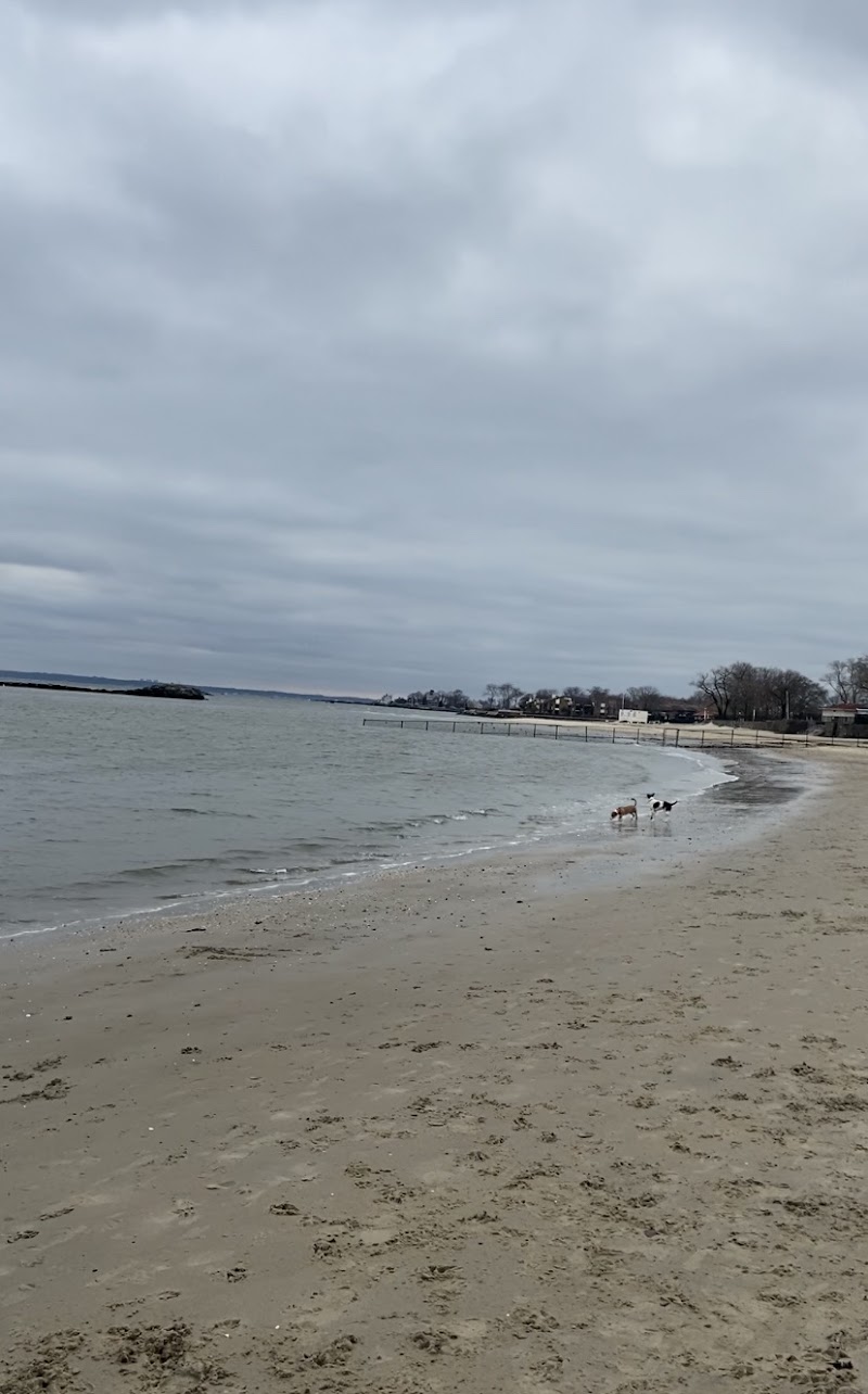 Dog beach parking photo 3