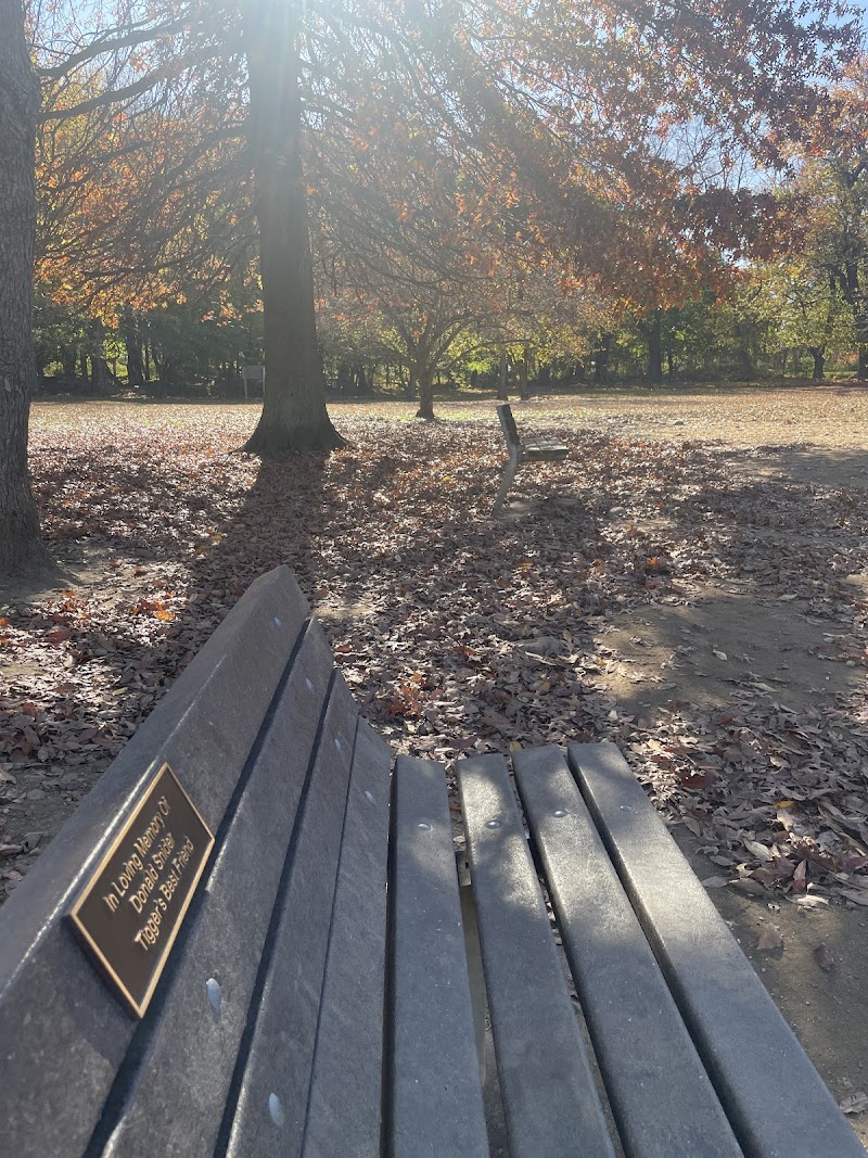 Dog park photo 2