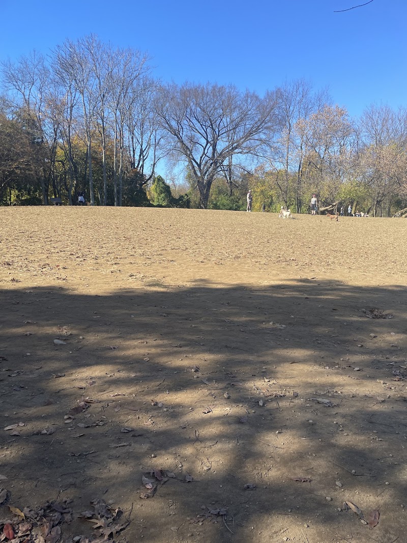 Dog park photo 3