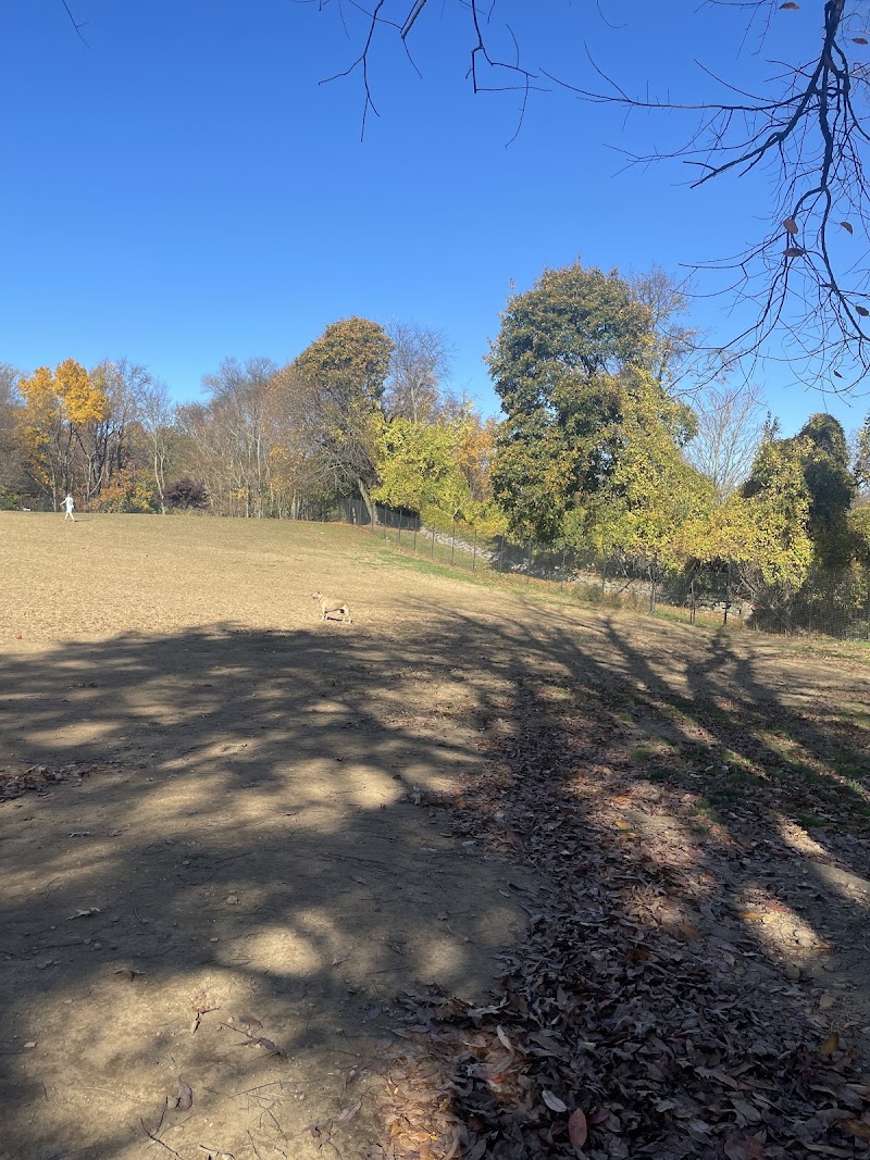 Dog park photo 4
