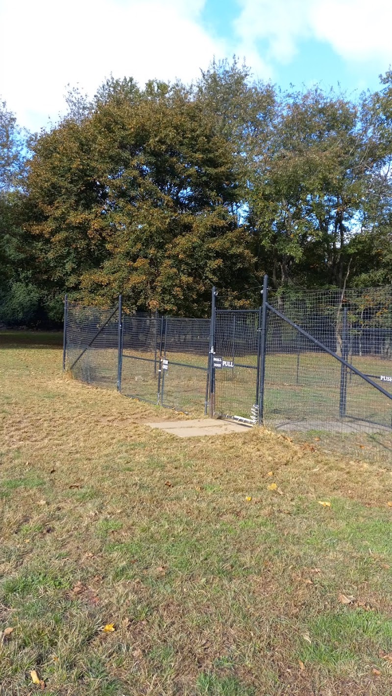 Dog park photo 5