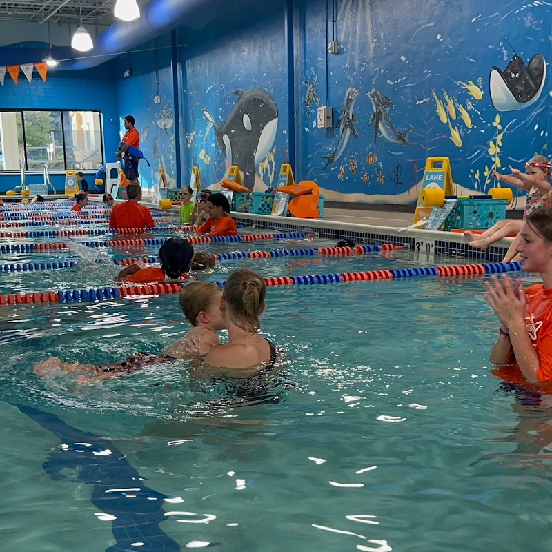 Goldfish Swim School - Yonkers photo 4
