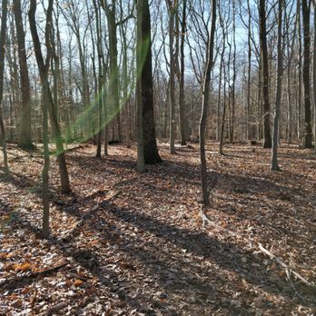 Colhoun Preserve photo 2