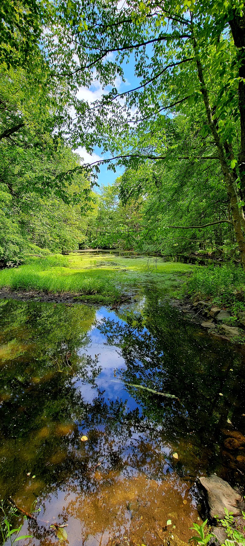Colhoun Preserve photo 5