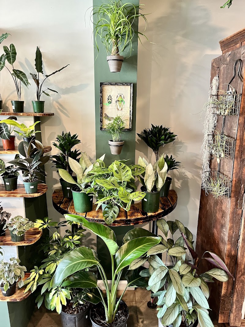 Foliage & Flora photo 3